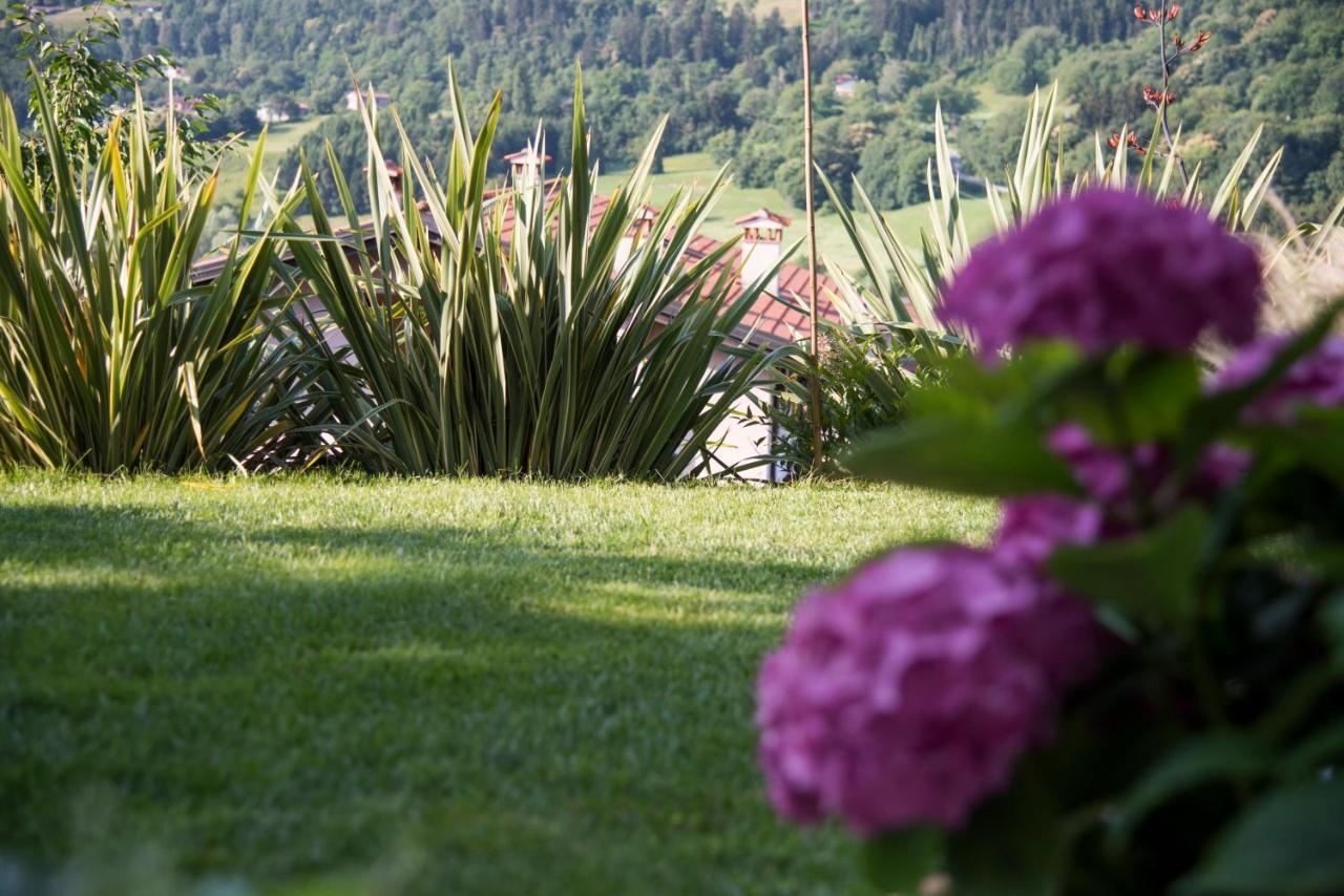 Willa La Casa Di Emy Solto Collina Zewnętrze zdjęcie